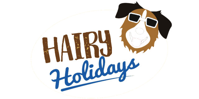 Hairy Holidays logo